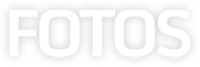 Seta
