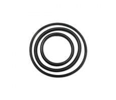 Anel Oring