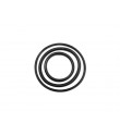 Anel Oring